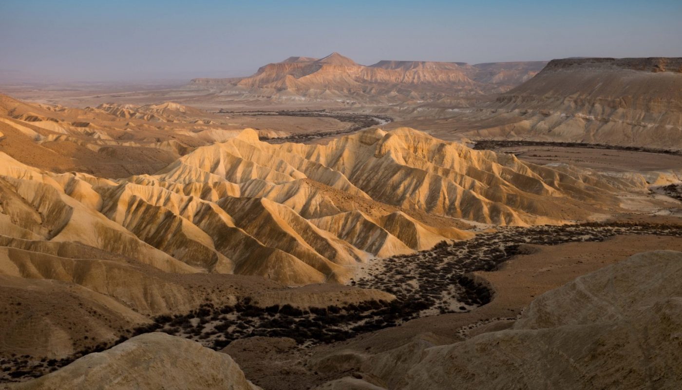 Negev Desert